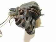 Bremskraftregler Mitsubishi Space Wagon, 1998.10 - 2004.12 Gebraucht,