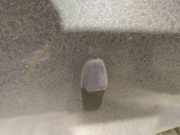 Waschwasserd?se Scheibenreinigung Volvo V50, 2004.04 - 2007.05 Gebraucht,