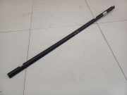 Zierleiste Leiste - Hinten Linke Renault Espace, IV 2002.11 - 2014.12 Gebraucht ,