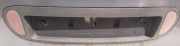 Kennzeichenleuchte Renault Scenic, I 1996.01 - 1999.09 Gebraucht,