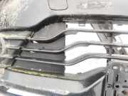 K?hlergrill - Vorne Center Citroen C4, I 2004.11 - 2008.06 Gebraucht,