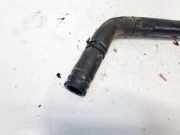 Kühlerschlauch Skoda Octavia, II 2004.02 - 2009.03 Gebraucht,