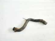 Kühlerschlauch Ford C-MAX, 2003.01 - 2007.06 Gebraucht ,