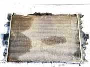 Wasserkühler Ford Galaxy, Mk III 2006.04 - 2010.06 Gebraucht,