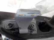 Türscharnier Vorne Renault Laguna, I 1994.01 - 2001.03 Gebraucht ,