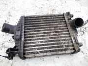 Ladeluftkühler Opel Signum, 2003.05 - 2008.06 6385012301, 2207320001