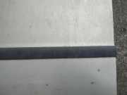 Zierleiste Tür Zier-Schutzleiste - Vorne Linke Volkswagen Passat, B5 1996.08 - 2000.11 Gebraucht, AFN