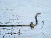 Stabilisator Stabi Hinten Hinterachse Peugeot 406, 1999.03 - 2004.05 facelift Gebraucht,
