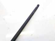 Gasdruckfeder Kofferraum Citroen Berlingo, I 1996.07 - 2002.11 Gebraucht,