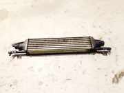 Ladeluftkühler Opel Corsa, D 2006.07 - 2010.06 Gebraucht,