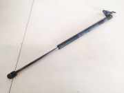Gasdruckfeder Kofferraum Toyota Corolla, 2001.11 - 2004.02 6895002040,68950-02040