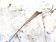 Windschutzscheibe Scheibenwischer Volkswagen LT, 1975.01 - 1996.06 Gebraucht,