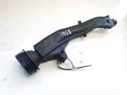 Ölmessstab Renault Laguna, III 2007.10 - 2010.11 8200949926, 8200949929