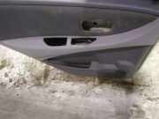 Türverkleidung - Hinten Linke Nissan Almera Tino 2003.09 - 2006.12 facelift Gebraucht,