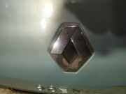 Emblem Renault Scenic, II 2006.06 - 2009.02 facelift Gebraucht,