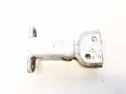 T?rscharnier Hinten Renault Trafic, X83 2001.03 - 2006.08 gm66380,