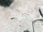 Trockner Klimaanlage Renault Vel Satis, 2002.06 - 2009.12 8200025640,