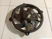 Kühlerlüfter Lüftermotor Citroen C5, II 2008.02 - 2011.01 Gebraucht,
