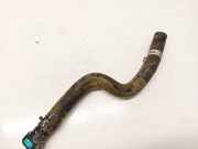Kühlerschlauch Ford KA, 2018 - 2020 facelift 17bg18k579aa,