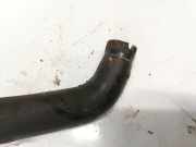 Kühlerschlauch Fiat Ducato, 1994.03 - 2002.04 b249p4906,