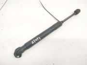 Gasfeder für Motorhaube Skoda Superb, I 2001.12 - 2008.03 3B5827550G,0297SO0520N