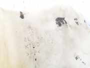 Scheibenwaschbehälter Vorne Wischwasserbehälter Audi A4, B6 2000.11 - 2004.11 8e0955453k,