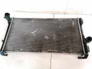 Wasserkühler Fiat Idea 2003 - 2012 Gebraucht,