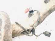 Sensor für ABS - Vorne Linke Skoda Superb, I 2001.12 - 2008.03 8d0927803d,