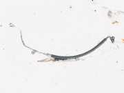 Servoleitung Leitung Servo Servoschlauch Schlauch Mitsubishi Outlander, II 2006.01 - 2013.01 Gebraucht,