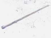 Stabilisator Stabi Hinten Hinterachse Renault Espace, II 1991.03 - 1996.12 Gebraucht,