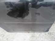 Zierleiste T?r Zier-Schutzleiste - Hinten Rechts Ford Focus, 2004.11 - 2008.06 Gebraucht,