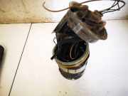 Kraftstoffpumpe Volkswagen Passat, B5+ 2000.11 - 2005.05 3B0919050,3B0919050B 220212010002 AVF