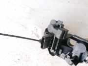 Lampenträger Heckleuchte - Hinten Peugeot 206, 2002.07 - 2009.01 facelift Gebraucht ,