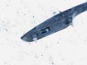 Dachreling Rechts Ford Mondeo, 2000.11 - 2007.03 1s71n55122,