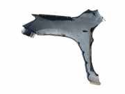 Kotflügel - Vorne Rechts Toyota RAV-4, III 2005.11 - 2012.12 Pilka,