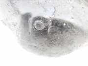 Ölwanne Renault Twingo, 1993.03 - 1998.09 Gebraucht,