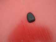 Waschwasserdüse Scheibenreinigung Peugeot 206, 2002.07 - 2009.01 facelift Gebraucht,