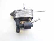 Kraftstoffkühler Kraftstoff Kühler Volkswagen Touareg, 2002.10 - 2007.09 7l6203491a, kt448010 BAC