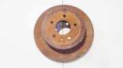 Bremsscheibe Hinterachse Chevrolet Captiva, 2006.01 - 2011.06 ventiliuojamas,