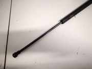 Gasfeder für Motorhaube Lexus IS, II 2005.10 - 2013.03 534500w081, 53450-0w081