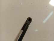 Gasdruckfeder Kofferraum Volkswagen Golf, IV 1997.08 - 2003.10 Gebraucht , AQM