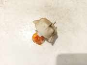 Gl?hbirnenfassung Blinker Peugeot 406, 1995.11 - 1999.03 py21w,