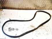 Türdichtung - Vorne Linke Renault Zoe I 2012 - 2020.06 Gebraucht,