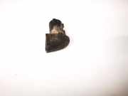 Türgriff Außen Endkappe Renault Modus I 2004.01 - 2007.12 277637,