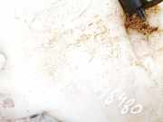 Scheibenwaschbeh?lter Vorne Wischwasserbeh?lter Ford Fusion, 2002.08 - 2009.12 Gebraucht,