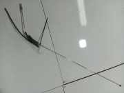 GPS Antenne Mazda 323, 1994.01 - 1998.09 Gebraucht,