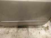 Zierleiste T?r Zier-Schutzleiste - Hinten Rechts Renault Laguna, II 2001.03 - 2006.05 Gebraucht,