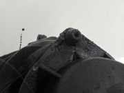 Thermostat Rover 25, 2001.06 - 2005.05 facelift WTP5843,WTP5843 WTP5840