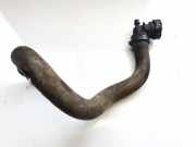 Kühlerschlauch Citroen C4 Picasso, II 2013.06 --> present Gebraucht,