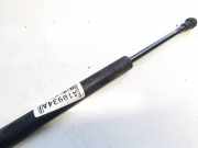 Gasdruckfeder Kofferraum Volvo S40, 2004.01 - 2007.03 30674971,
